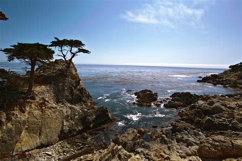Asisbiz Hdr Effect Lonely Cypress Tree 17 Mile Drive Monterey