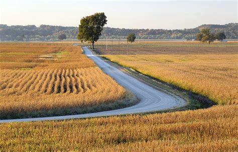 Country Road Through Farmland Midwest Pence Group