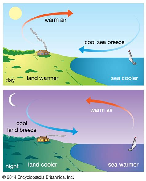 Sea Breeze Coastal Winds Oceanic Airflows And Marine Climate Britannica
