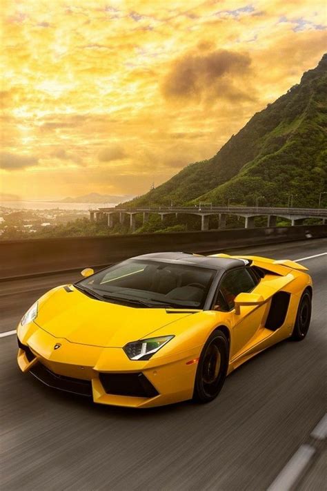 View the top luxury sports cars to find the right car for you. Lamborghini Aventador | Sports cars ferrari, Lamborghini aventador roadster, Super cars