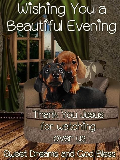 Happy birthday, and sorry your party's so lame. Wishing You a Beautiful Evening. Thank You Jesus. Sweet ...