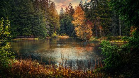 Картинки лесное озеро закат лес деревья осень пейзаж обои