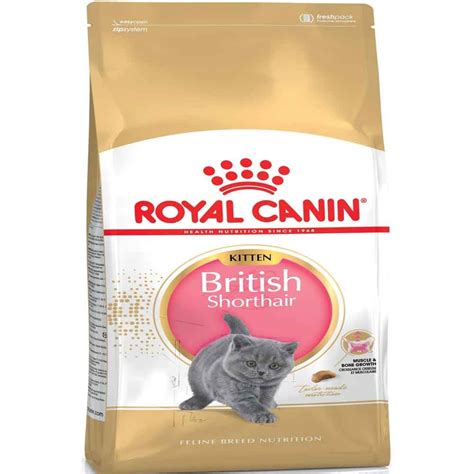 Royal Canin British Shorthair Kitten 2 Kg Yavru Kedi Maması