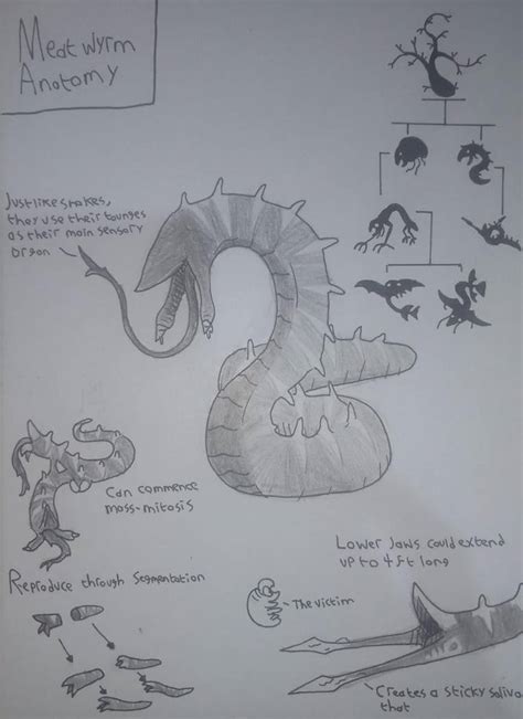 Vita Carnis Meatwyrm Diduco Carnis By Npcarte On Deviantart