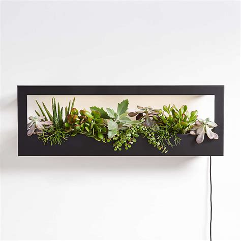 Indoor And Outdoor Planters Wood Wall Styles And More Crate And Barrel