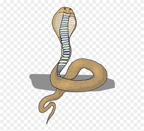 Gambar Ular Cobra Keren