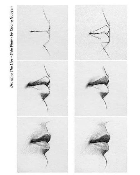 Four Different Angles Of The Lips In Various Stages Of Drawing Each
