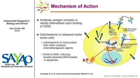 Inotuzumab Ozogamicin Biology And Clinical Gary Schiller Md Youtube