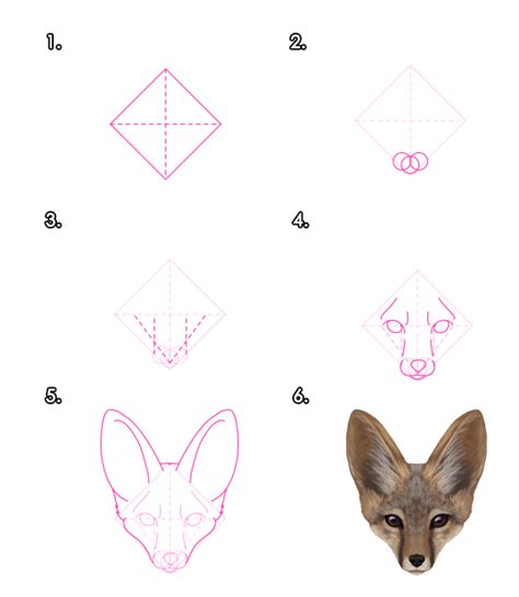How To Draw Animals Foxes Tuts Design And Illustration