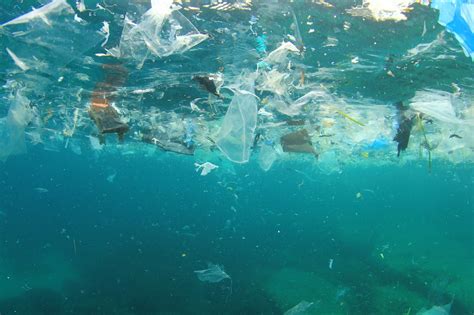 Microplastics Flowing Into Our Oceans Threaten Deep Sea