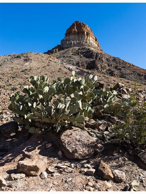 Scenery In Big Bend National Park In The Trans Pecos Region Of Texas
