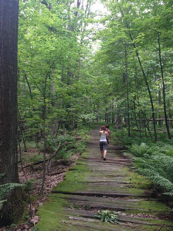 Top things to do in deep creek lake state park. Deep Creek Lake State Park (Swanton) - 2020 All You Need ...