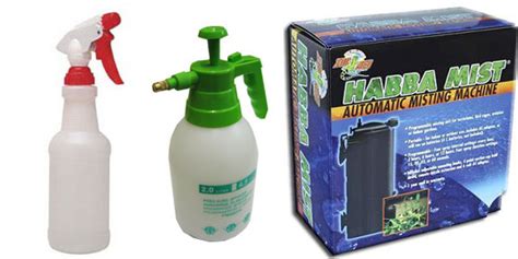 Maybe you would like to learn more about one of these? Care Sheet - Fired Up Geckos