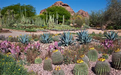 The Most Beautiful Gardens On The West Coast With Images Desert