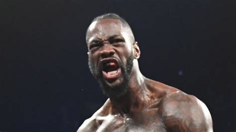 Deontay Wilder Wbc World Heavyweight Champion To Face Dominic