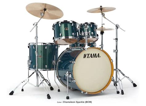 Solved Learn The Powerful Differences Birch Vs Maple Drums