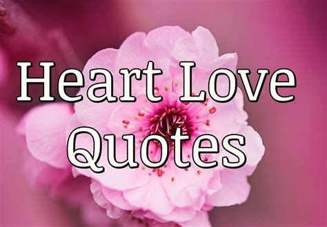 119 Heart Love Quotes Purelovequotes