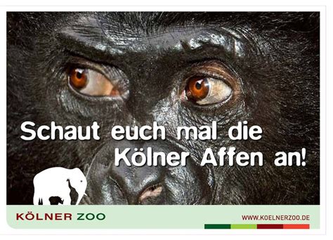 Kölner Zoo Freche Werbekampagne In Düsseldorf Kölner Stadt Anzeiger