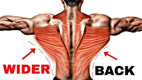 How To Wider Back 8 Effective Exercises Back Workout Youtube