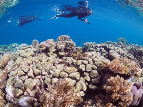 Raja Ampat Coral Triangle Adventure Luxury Liveaboard Trips