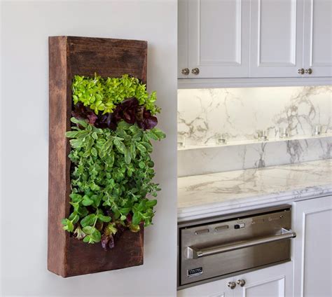 15 Phenomenal Indoor Herb Gardens Do It Yourself Ideas And Projects