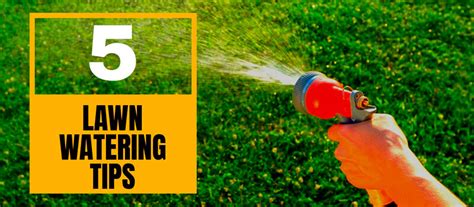 Top 5 Lawn Watering Tips Learn How To Water Your Lawn