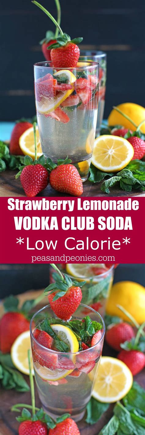 Lidia krupka design greene acres. Lemonade Vodka Club Soda - Sweet and Savory Meals | Recipe ...
