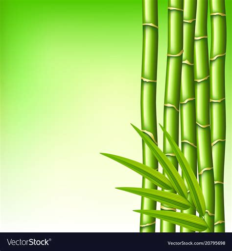 Details 200 Green Bamboo Background Abzlocal Mx