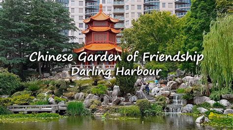 Chinese Garden Of Friendship Sydney Chinese Garden Of Friendship In