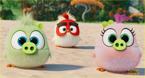 Angry Birds 2 Debuts Adorable Hatchlings Clip Watch Here Photo