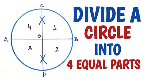 How To Divide A Circle Into 4 Equal Parts Youtube