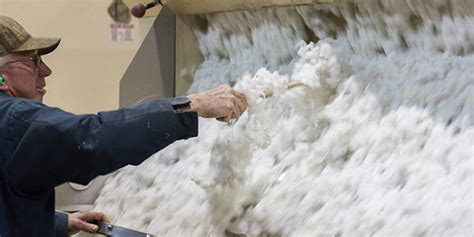 The People And Science Behind American Cotton Gins Blog Homegrown