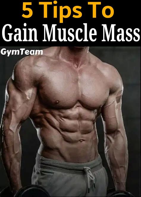 5 Easy Tips To Gain Muscle Mass Gain Muscle Fast Gain Muscle Mass