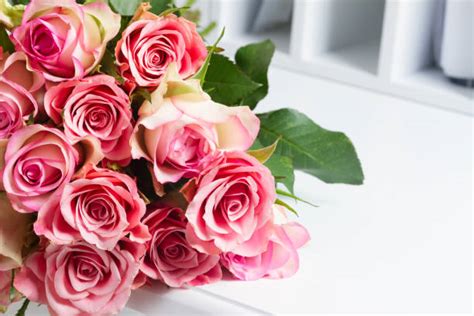 A Romantic Bunch Of Roses The Perfect Gesture To Win Your Loves Heart