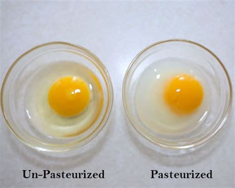Read customer reviews & find best sellers. How to Pasteurize Eggs - Pudge Factor