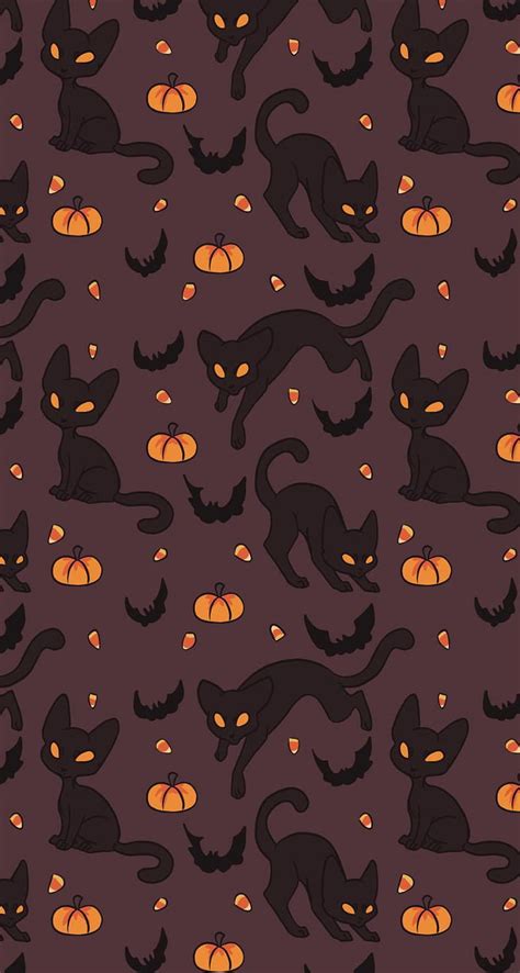 Halloween Black Cats Hd Phone Wallpaper Peakpx