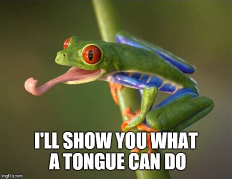 That Tongue Though Frog Week June 4 10 A Jbmemegeek And Giveuahint