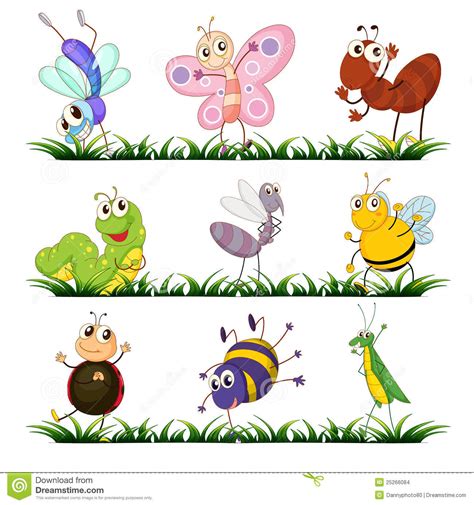 Insecta Clipart 20 Free Cliparts Download Images On Clipground 2024
