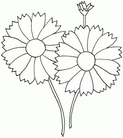 With these tips, you'll be able to create the perfect shading and add more depth and richness to your colored artworks. blank flower template free printable | Flower templates ...