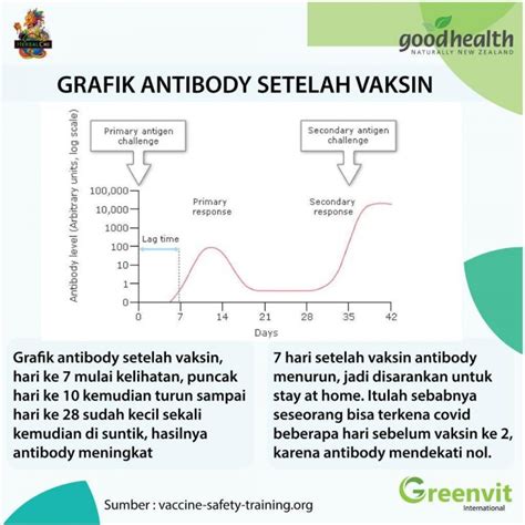Ada laporan di beberapa negara dari sejumlah kecil orang yang memiliki gumpalan darah setelah menerima vaksin oxford / astrazeneca. Efek Samping Vaksin Covid Dosis Kedua : Apakah Vaksin ...