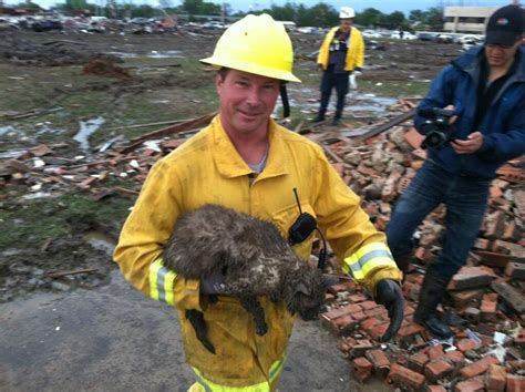 Fireman Rescues Cat From Tornados Destruction Life With Cats