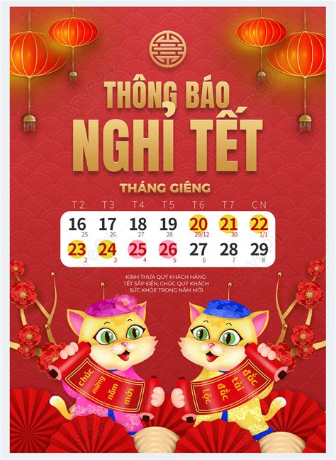 부채 고양이 꽃 식물 랜턴 2023 베트남 새해 고양이의 해 봄 축제 휴일 공지 포스터 이미지 사진 468873126 무료 다운로드