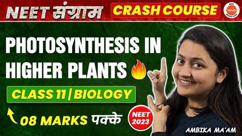 Photosynthesis In Higher Plants Class Neet Neet Biology