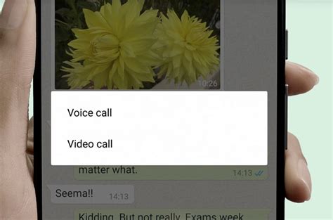 Come Effettuare Videochiamate WhatsApp Guida All Installazione E All