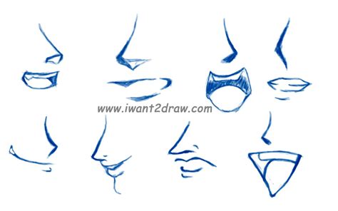 Anime drawing is not complete without the nose. Anime mouth Drawing - Bing images | Lips drawing, Nose ...