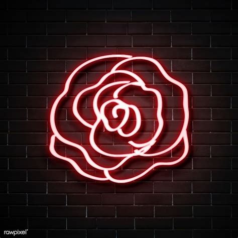 Neon Red Rose On A Wall Free Image By Nam Neon Neon