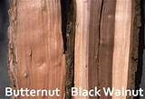 Burning Black Walnut Wood Photos