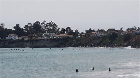 Santa Cruz Harbor Beach Updated 2021 All You Need To Know Before You