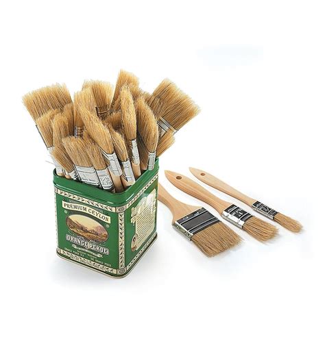 Disposable Natural Bristle Brushes Lee Valley Tools