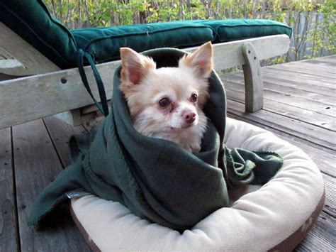 Craigslist hawaii rooms for rent - uirunisaza.web.fc2.com